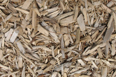 biomass boilers Dewlish