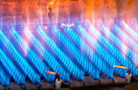 Dewlish gas fired boilers